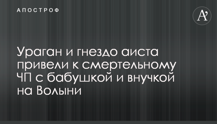 Ураган і гніздо лелеки призвели до смертельної НП з бабусею і онукою на Волині