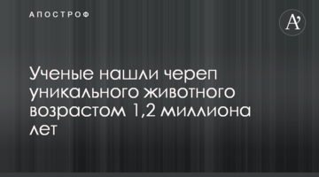Вчені знайшли череп унікальної тварини віком 1,2 мільйона років