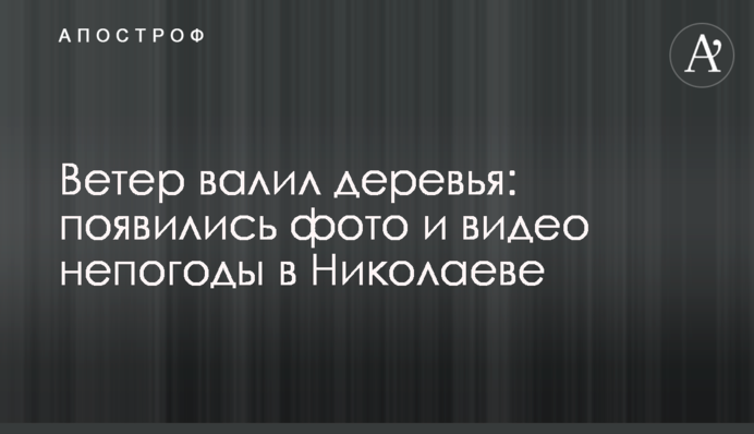 Вітер валив дерева: з'явилися фото і відео негоди в Миколаєві