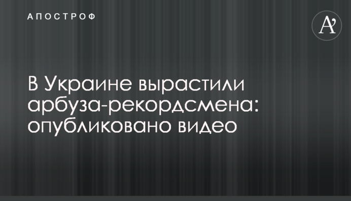 В Україні виростили кавуна-рекордсмена: опубліковано відео