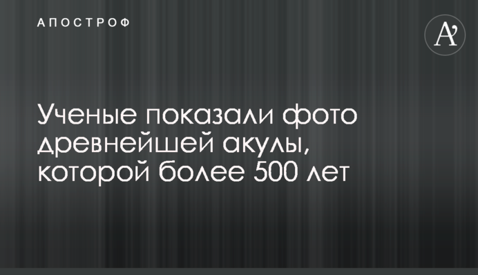 Вчені показали фото стародавньої акули, якій понад 500 років