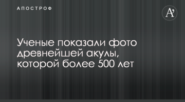 Вчені показали фото стародавньої акули, якій понад 500 років