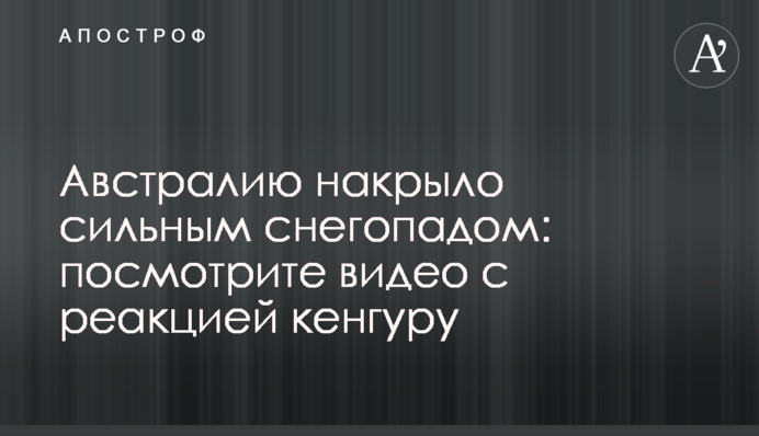 Австралію накрило сильним снігопадом: подивіться відео з реакцією кенгуру