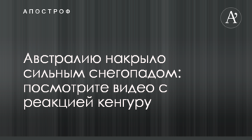 Австралию накрыло сильным снегопадом: посмотрите видео с реакцией кенгуру