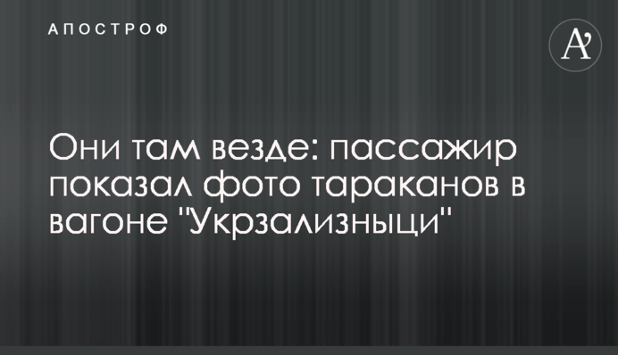 Они там везде: пассажир показал фото тараканов в вагоне 