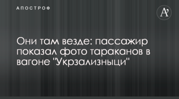 Вони там скрізь: пасажир показав фото тарганів у вагоні 
