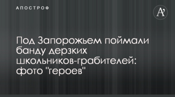 Под Запорожьем поймали банду дерзких школьников-грабителей: фото "героев"