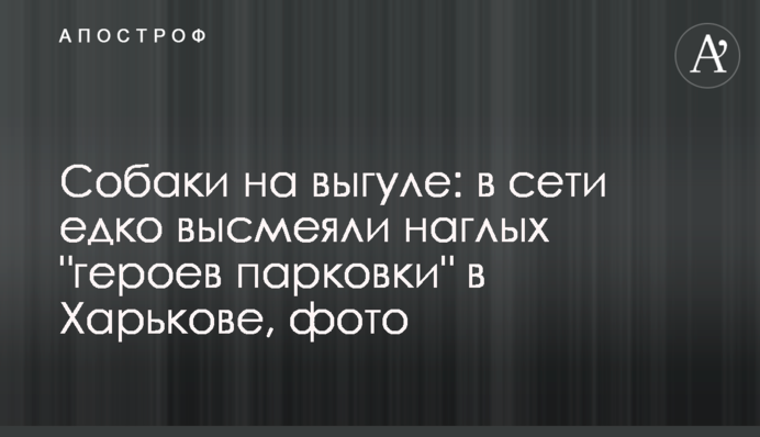 Собаки на вигулі: в мережі їдко висміяли нахабних 