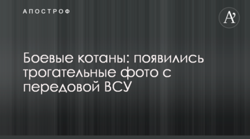 Бойові коти: з'явилися зворушливі фото з передової ЗСУ