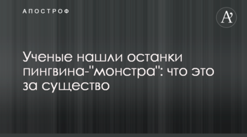 Вчені знайшли останки пінгвіна-"монстра": що це за істота