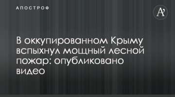 В оккупированном Крыму вспыхнул мощный лесной пожар: опубликовано видео