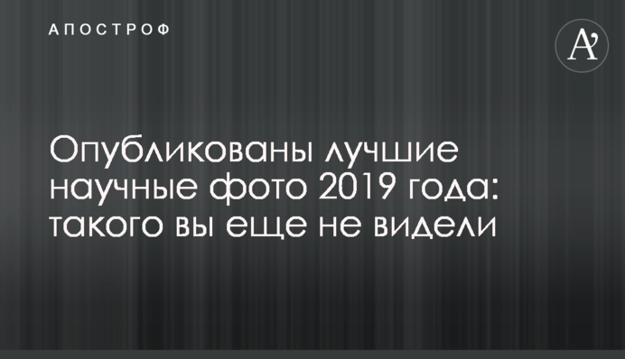 Опубліковано найкращі наукові фото 2019 року: такого ви ще не бачили