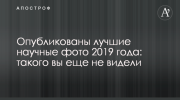 Опубліковано найкращі наукові фото 2019 року: такого ви ще не бачили