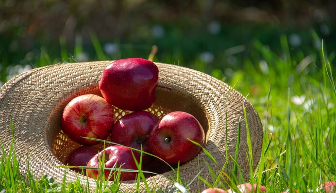 Яблочный Спас: что нельзя делать 19 августа на Преображение Господне