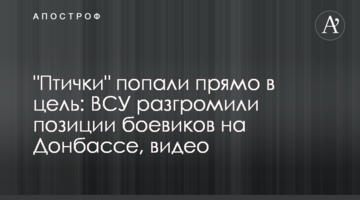 "Пташки" потрапили прямо в ціль: ЗСУ розгромили позиції бойовиків на Донбасі, відео