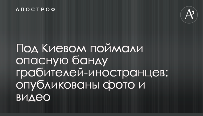 Під Києвом спіймали небезпечну банду грабіжників-іноземців: опубліковано фото та відео