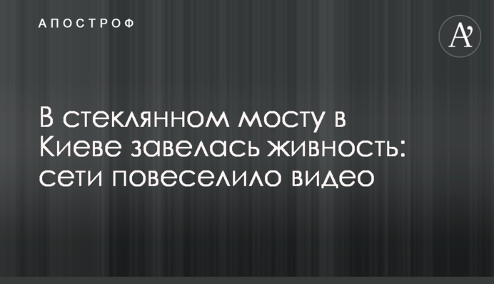 У скляному мосту в Києві завелася живність: мережі повеселило відео