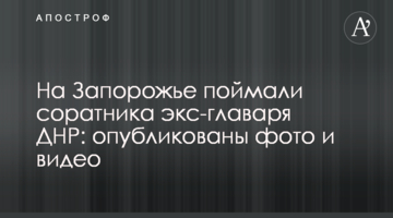 На Запоріжжі впіймали соратника екс-ватажка ДНР: опубліковано фото і відео