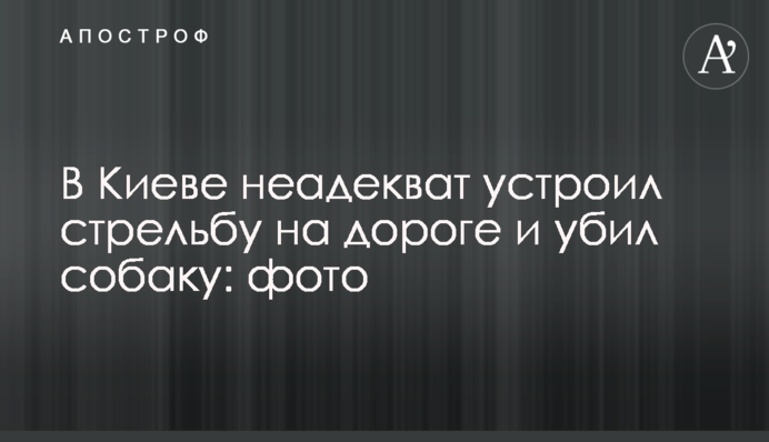У Києві неадекват влаштував стрілянину на дорозі та вбив собаку: фото
