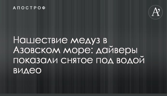 Нашествие медуз в Азовском море: дайверы показали снятое под водой видео