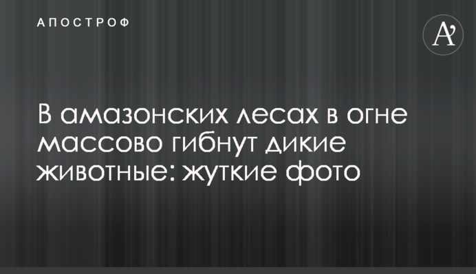 В амазонських лісах у вогні масово гинуть дикі тварини: моторошні фото