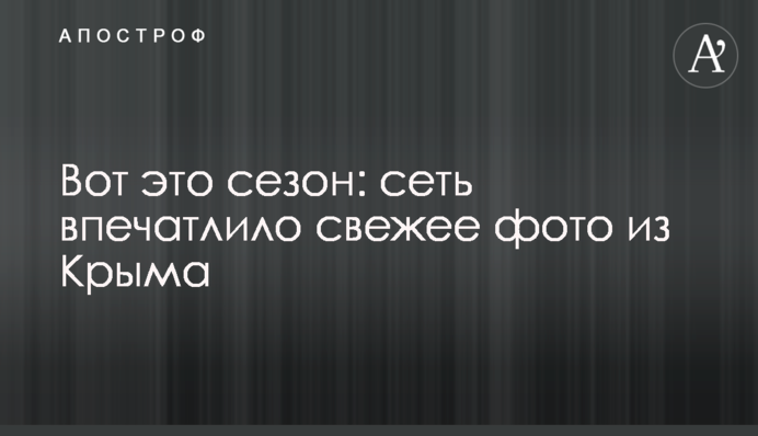 Ось це сезон: мережу вразило свіже фото з Криму
