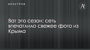 Вот это сезон: сеть впечатлило свежее фото из Крыма