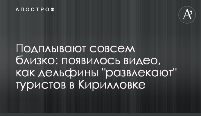 Подплывают совсем близко: появилось видео, как дельфины 