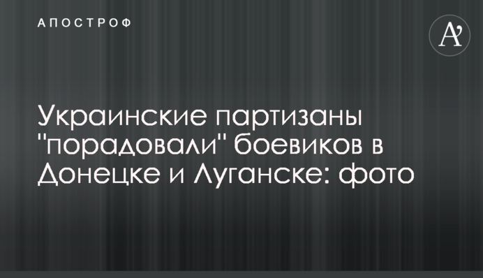 Українські партизани 