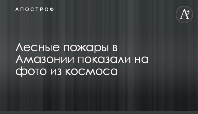 Лісові пожежі в Амазонії показали на фото з космосу