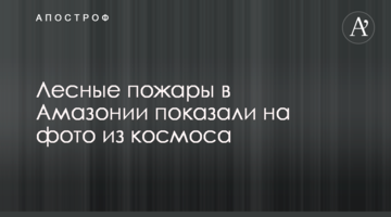 Лісові пожежі в Амазонії показали на фото з космосу