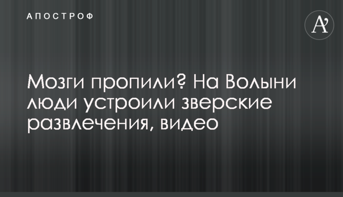 Мізки пропили? На Волині люди влаштували звірячі розваги