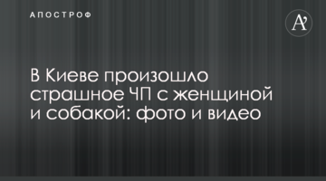​У Києві сталася страшна НП з жінкою і собакою: фото і відео