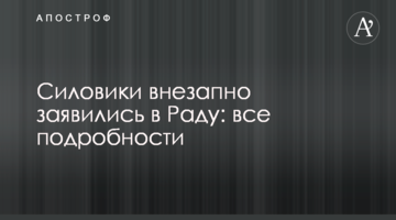 Силовики раптово заявилися в Раду: всі подробиці