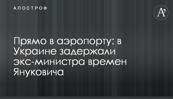 Прямо в аеропорту: в Україні затримали екс-міністра часів Януковича