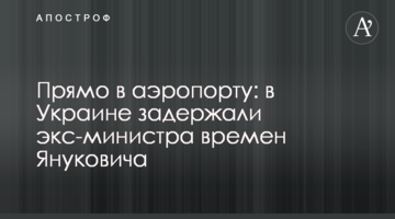 Прямо в аэропорту: в Украине задержали экс-министра времен Януковича
