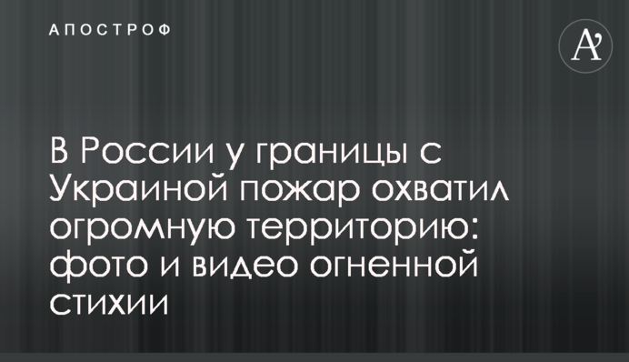 В России у границы с Украиной пожар охватил огромную территорию: фото и видео огненной стихии