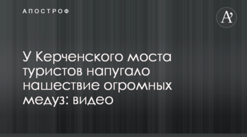 У Керченского моста туристов напугало нашествие огромных медуз: видео