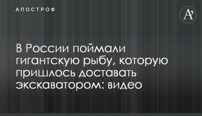 У Росії спіймали гігантську рибу, яку довелося діставати екскаватором: відео