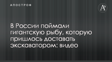 У Росії спіймали гігантську рибу, яку довелося діставати екскаватором: відео