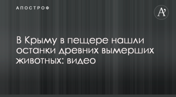 В Крыму в пещере нашли останки древних вымерших животных: видео