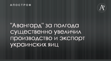 "Авангард" за полгода существенно увеличил производство и экспорт украинских яиц