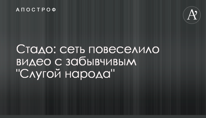 Стадо: мережу повеселило відео з забудькуватим 