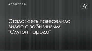 Стадо: мережу повеселило відео з забудькуватим "Слугою народу"