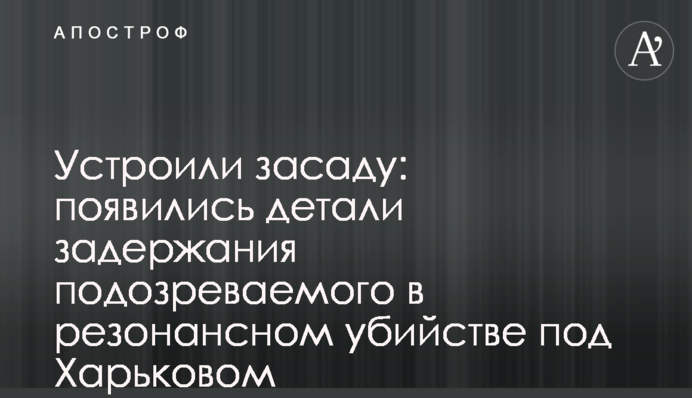Влаштували засідку: з'явилися деталі затримання підозрюваного в резонансному вбивстві під Харковом