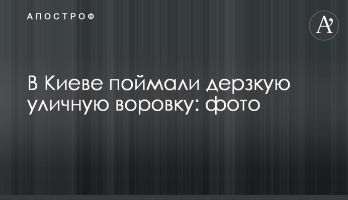 В Киеве поймали дерзкую уличную воровку: фото