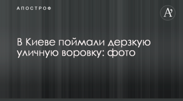 У Києві зловили зухвалу вуличну злодійку: фото
