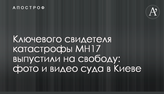 Ключевого свидетеля катастрофы MH17 выпустили на свободу: фото и видео суда в Киеве