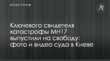 Ключового свідка катастрофи MH17 випустили на свободу: фото і відео суду в Києві