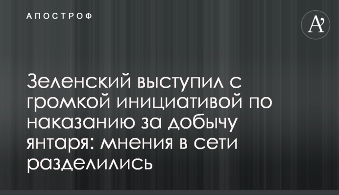 Зеленский выступил с громкой инициативой по наказанию за добычу янтаря: мнения в сети разделились